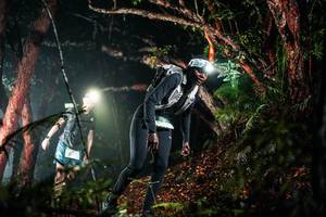 BIB: 
                            <button type="button" onclick="openModal(26294536)" class="btn btn-primary btn-sm float-right btn-popup" data-toggle="modal" data-target=".modal-high-quality">
                        <i class="fas fa-shopping-cart"></i> Add to Cart
                    </button>
                                            <button type="button" onclick="isThisMe(26294536, true)" class="btn btn-success btn-sm float-right btn-popup btn-isme hidden" data-toggle="tooltip" data-placement="bottom" title="นี่คือรูปของคุณใช่ไหม คลิกที่นี่เพื่อเอาเข้าอัลบั้ม">
                        <i class="fas fa-plus"></i> Add to album
                    </button>
                    <button type="button" onclick="isThisMe(26294536, false)" class="btn btn-warning btn-sm float-right btn-popup btn-isnotme hidden">
                        <i class="fas fa-ban"></i> Remove from album
                    </button>